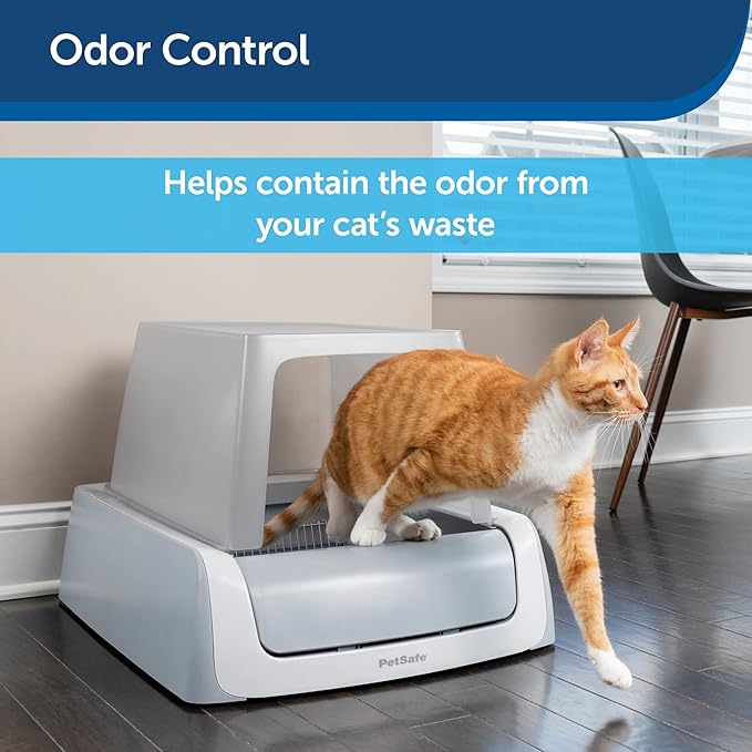 Scoop Free Cat Litter: Ultimate Odor-Control Secrets