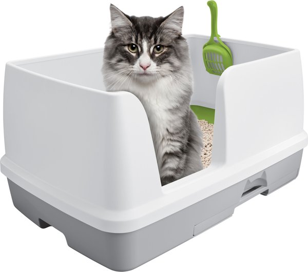 Breeze Cat Litter Reviews: Discover Ultimate Freshness!!