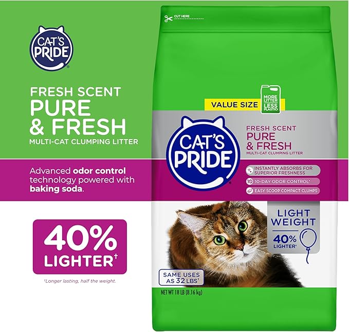 Cats Pride Cat Litter Review: Unveiling Feline Favorites