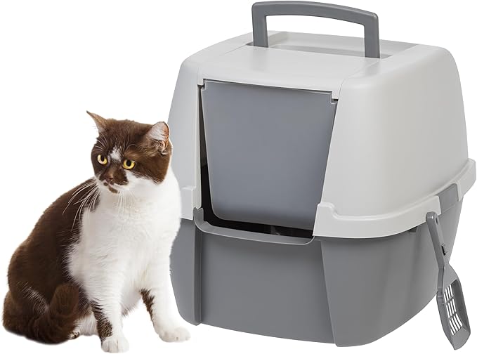 Iris Top Entry Litter Box: Ultimate Cleanliness Guide