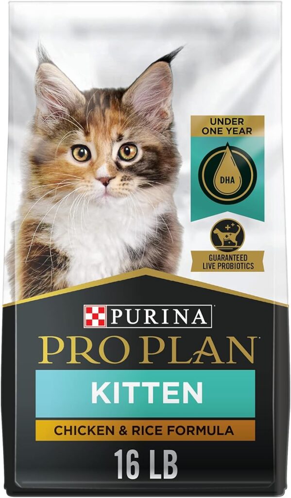 purina kitten dry food