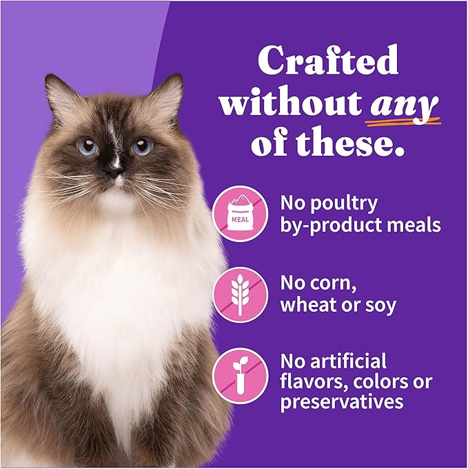 Halo Canned Cat Food: Wholesome Nutrition for Felines