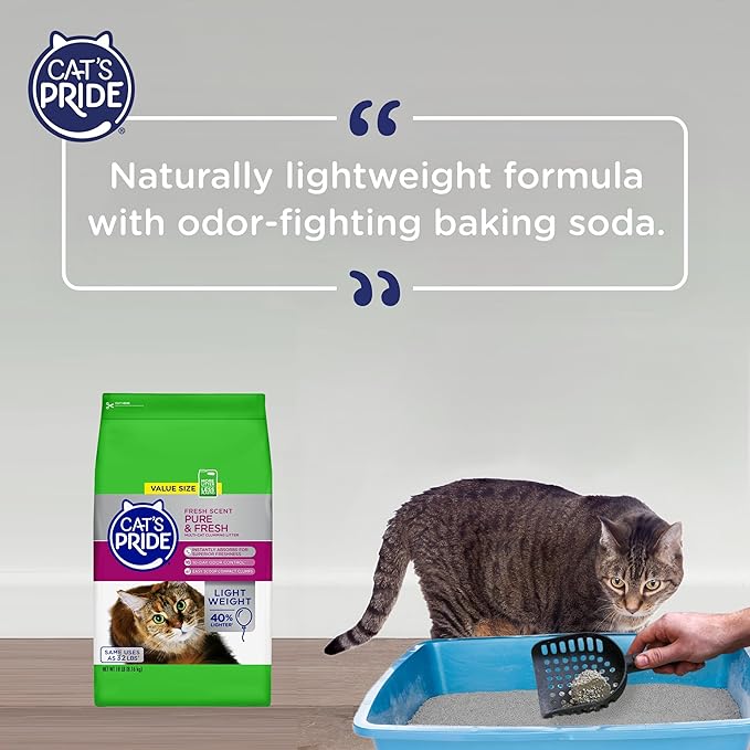 Cats Pride Cat Litter Review: Unveiling Feline Favorites