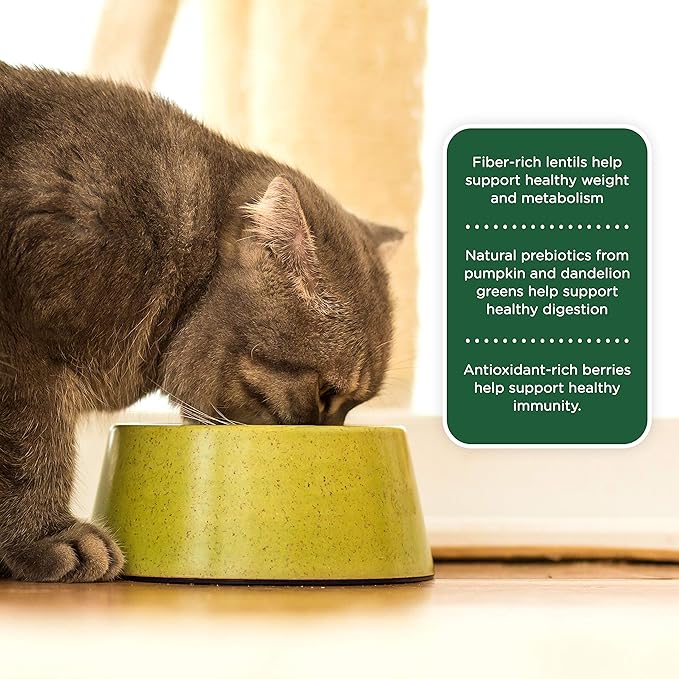 Rachel Ray Dry Cat Food Review: Purr-fect Nutrition!