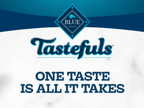 Blue Buffalo Tastefuls Dry Cat Food