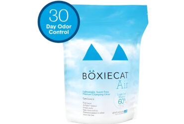 Boxie Cat Litter Reviews