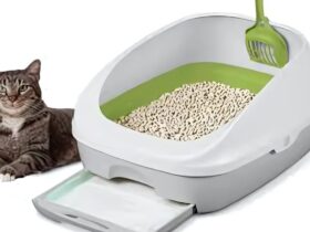 Breeze Cat Litter