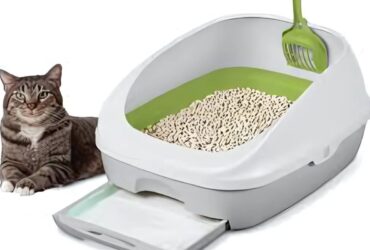 Breeze Cat Litter