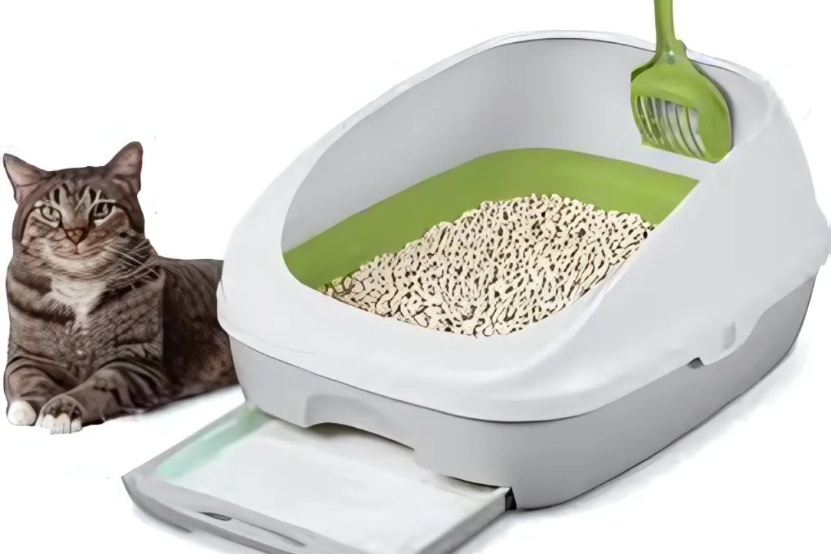 Breeze Cat Litter