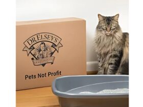 Dr Elsey’s Cat Litter