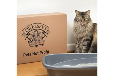 Dr Elsey’s Cat Litter