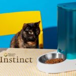 Instinct Cat Food Review