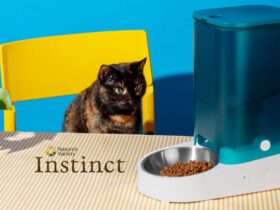 Instinct Cat Food Review