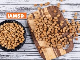 IAMS dry cat food reviews