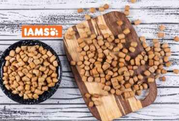 IAMS dry cat food reviews