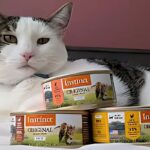 Instinct Wet Cat Food