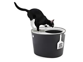 Iris Top Entry Litter Box