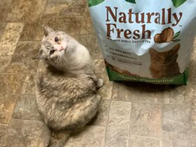 Naturally Fresh Cat Litter