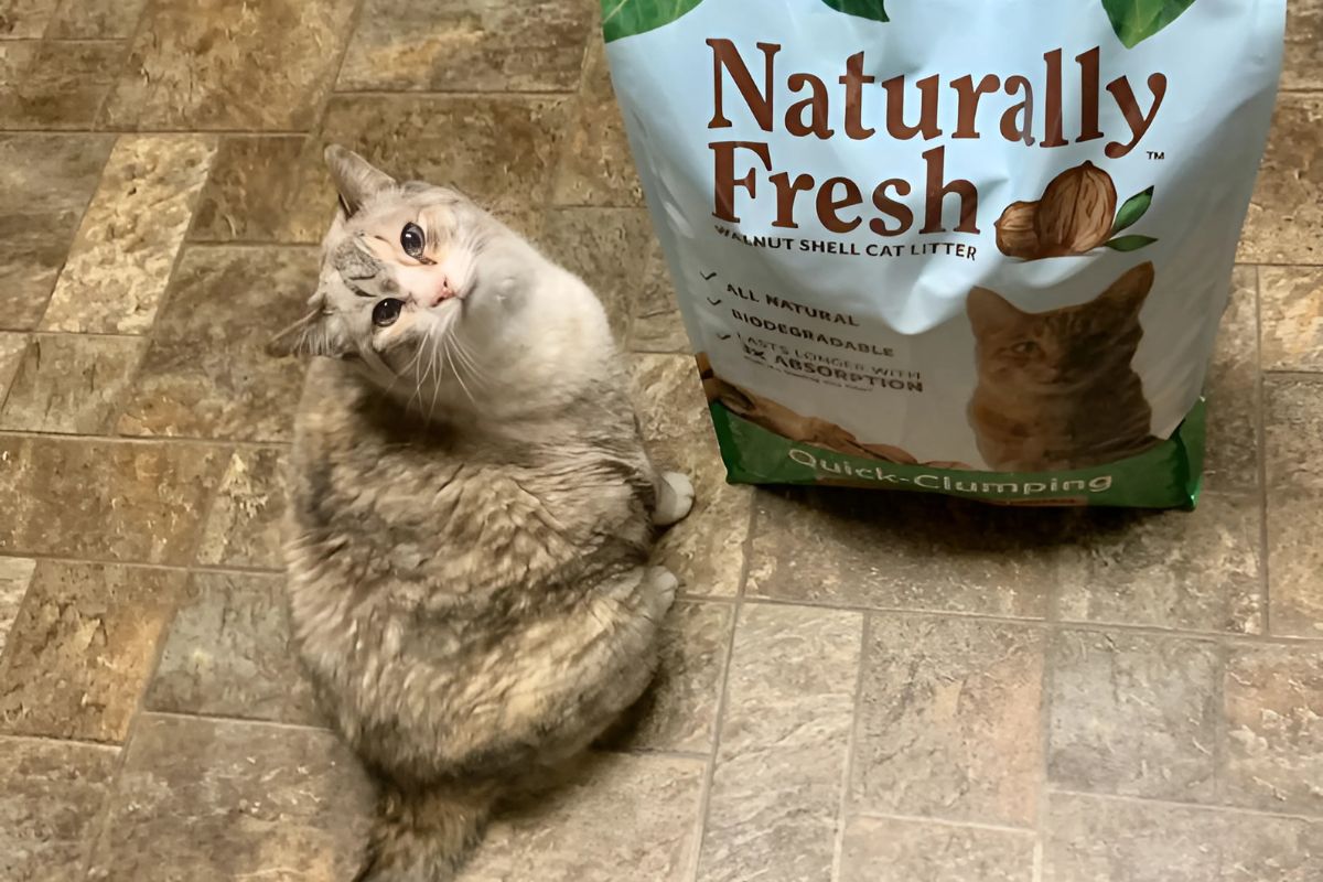 Naturally Fresh Cat Litter