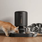 Petlibro Automatic Cat Feeder Setup