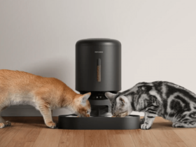 Petlibro Automatic Cat Feeder Setup