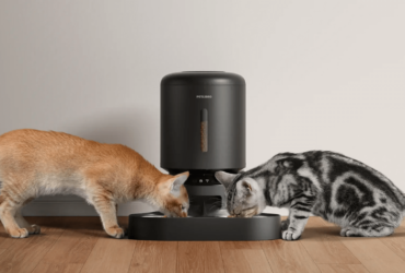 Petlibro Automatic Cat Feeder Setup