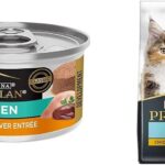 Purina Kitten Dry Food