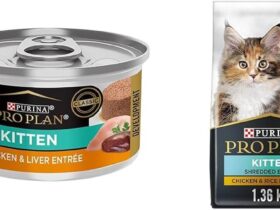 Purina Kitten Dry Food