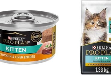 Purina Kitten Dry Food