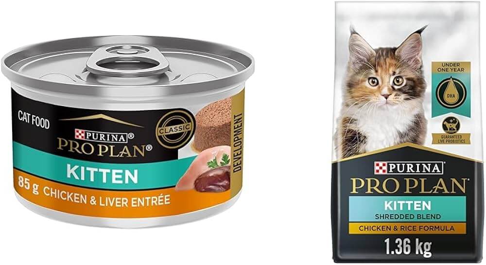 Purina Kitten Dry Food