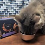 Reveal Cat Food Reviews