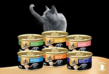 Sheba Cat Food