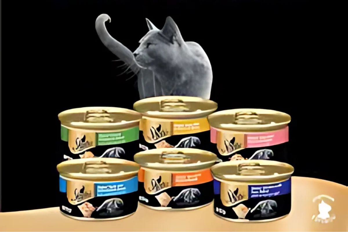 Sheba Cat Food