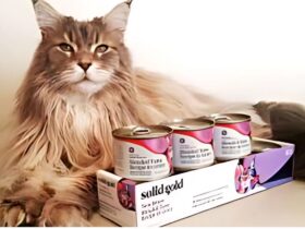 Solid Gold Canned Cat Food