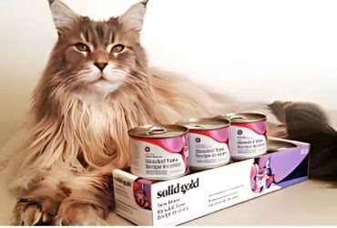 Solid Gold Canned Cat Food