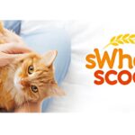 Sweet Scoop Cat Litter