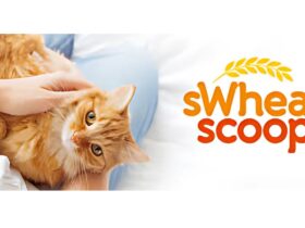 Sweet Scoop Cat Litter