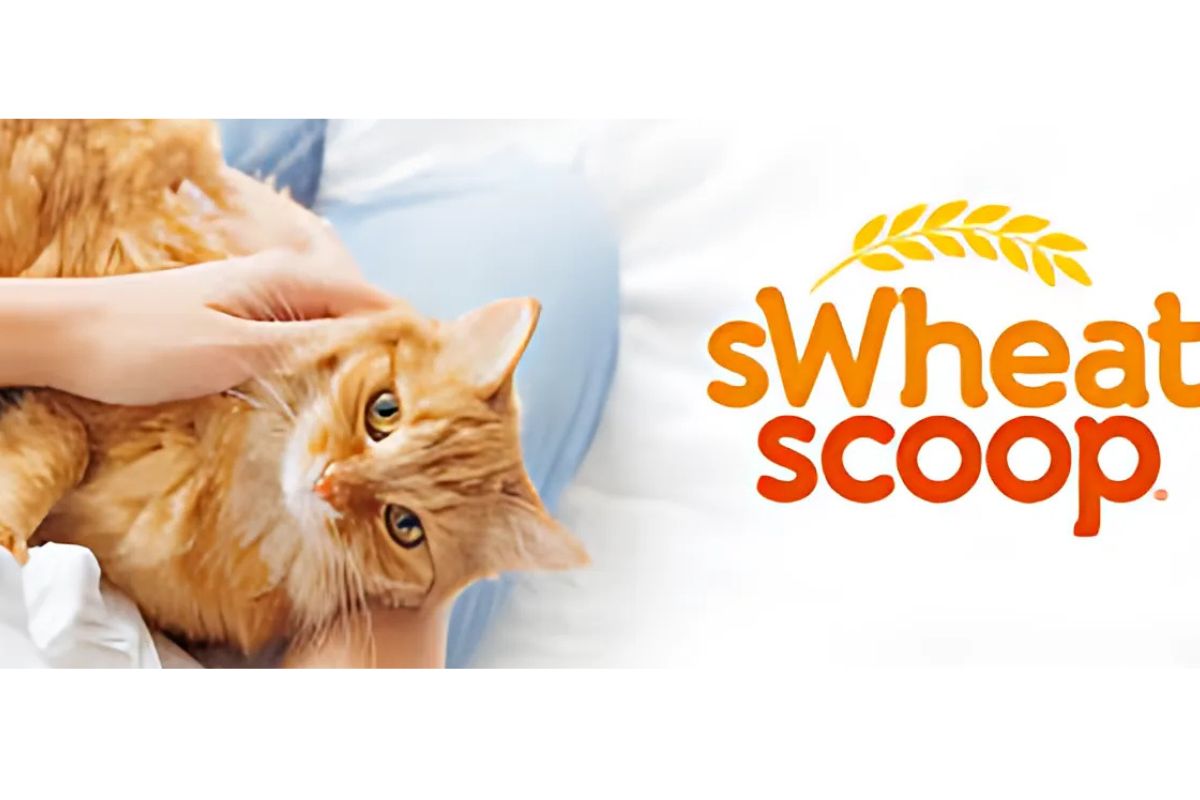 Sweet Scoop Cat Litter