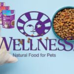 Wellness Dry Cat Food