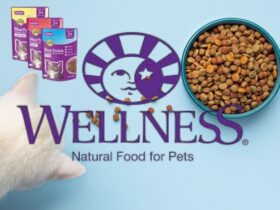 Wellness Dry Cat Food