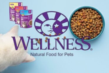 Wellness Dry Cat Food