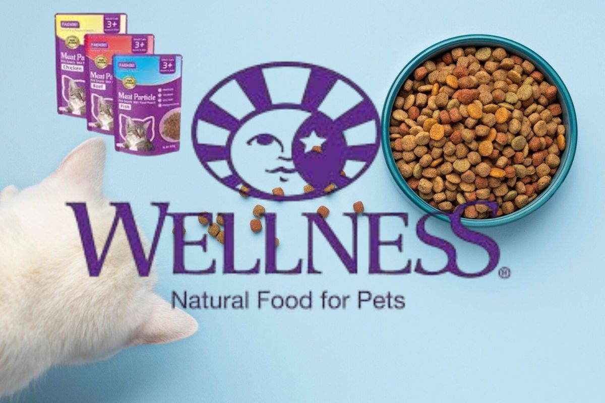 Wellness Dry Cat Food