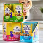 Wellness Wet Cat Food