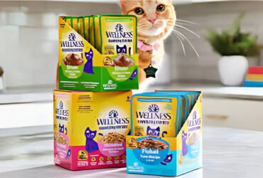 Wellness Wet Cat Food