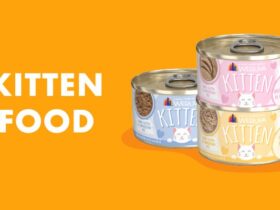 Weruva Canned Cat Food