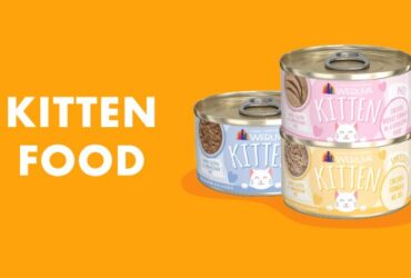 Weruva Canned Cat Food