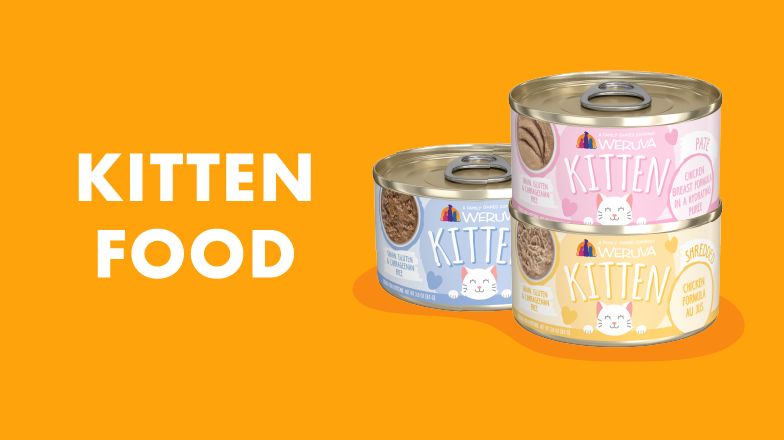 Weruva Canned Cat Food