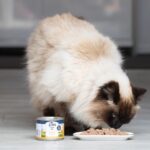 Ziwi Peak Cat Food