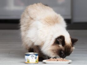 Ziwi Peak Cat Food