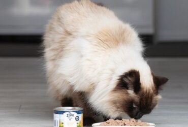 Ziwi Peak Cat Food